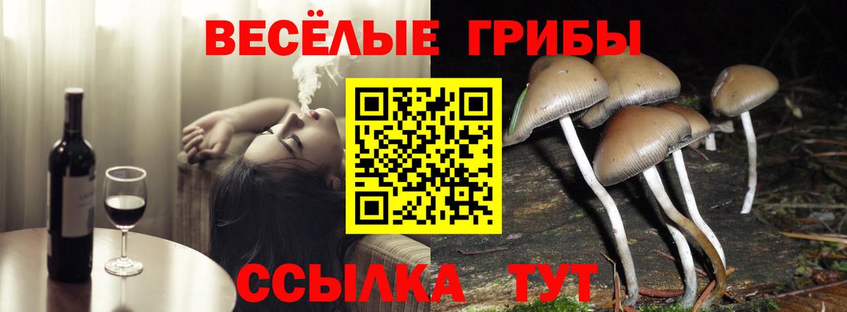 Октябрьский  Галлюциногенные грибы Cubensis  Вход с VPN 